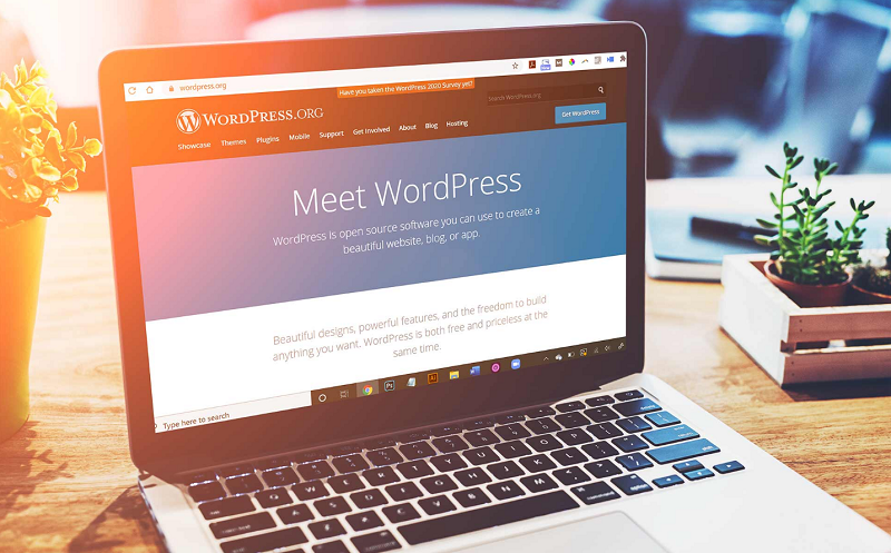 Thiết kế website wordpress là gì? Tại sao bạn cần thiết kế website bằng moma